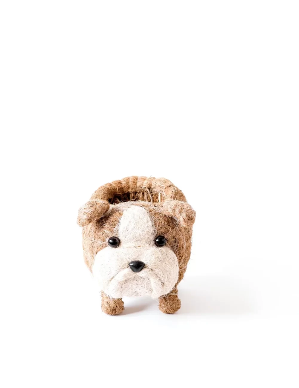 English Bulldog Planter - Coco Coir Pots  LIKHÂ