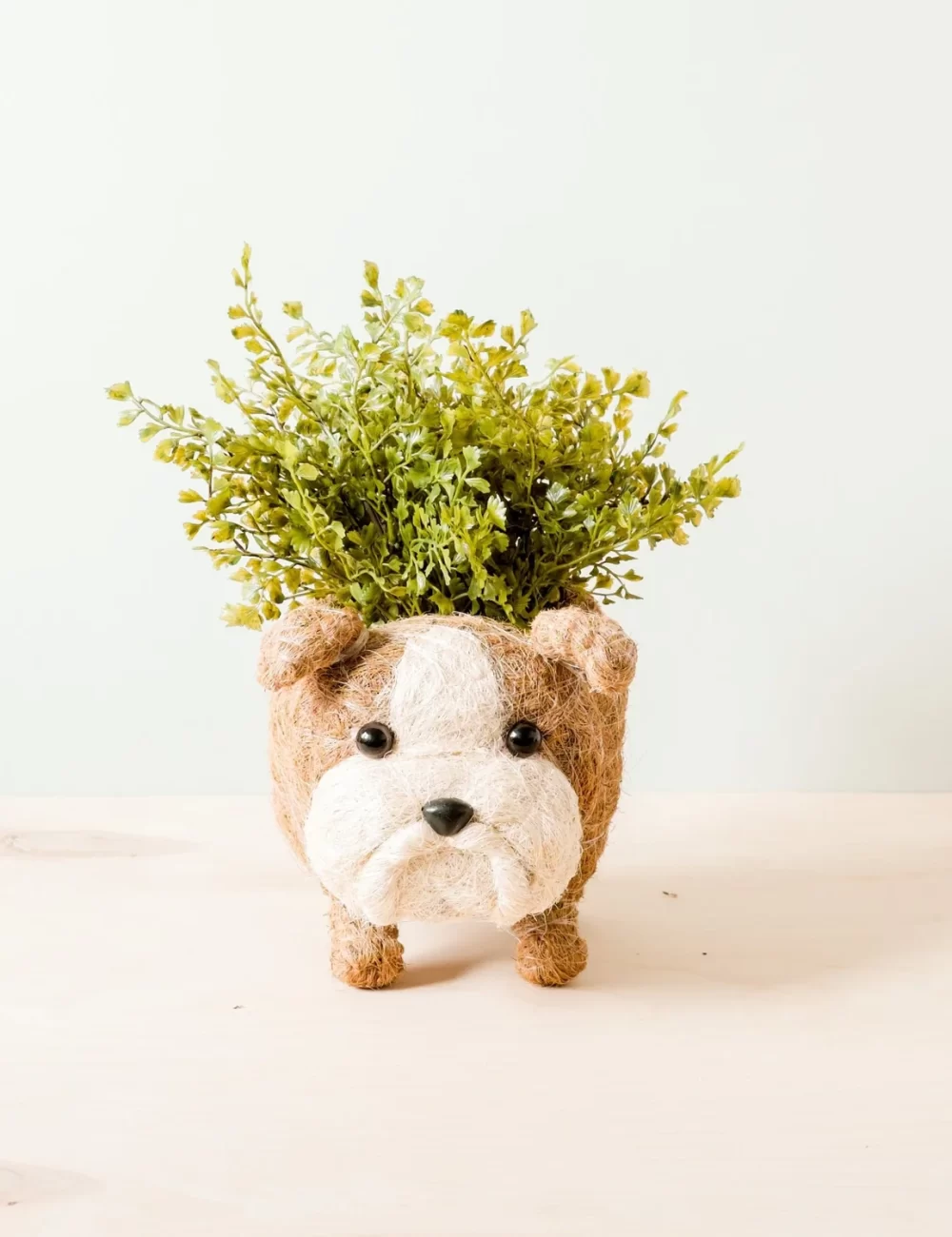 English Bulldog Planter - Coco Coir Pots  LIKHÂ - Image 2