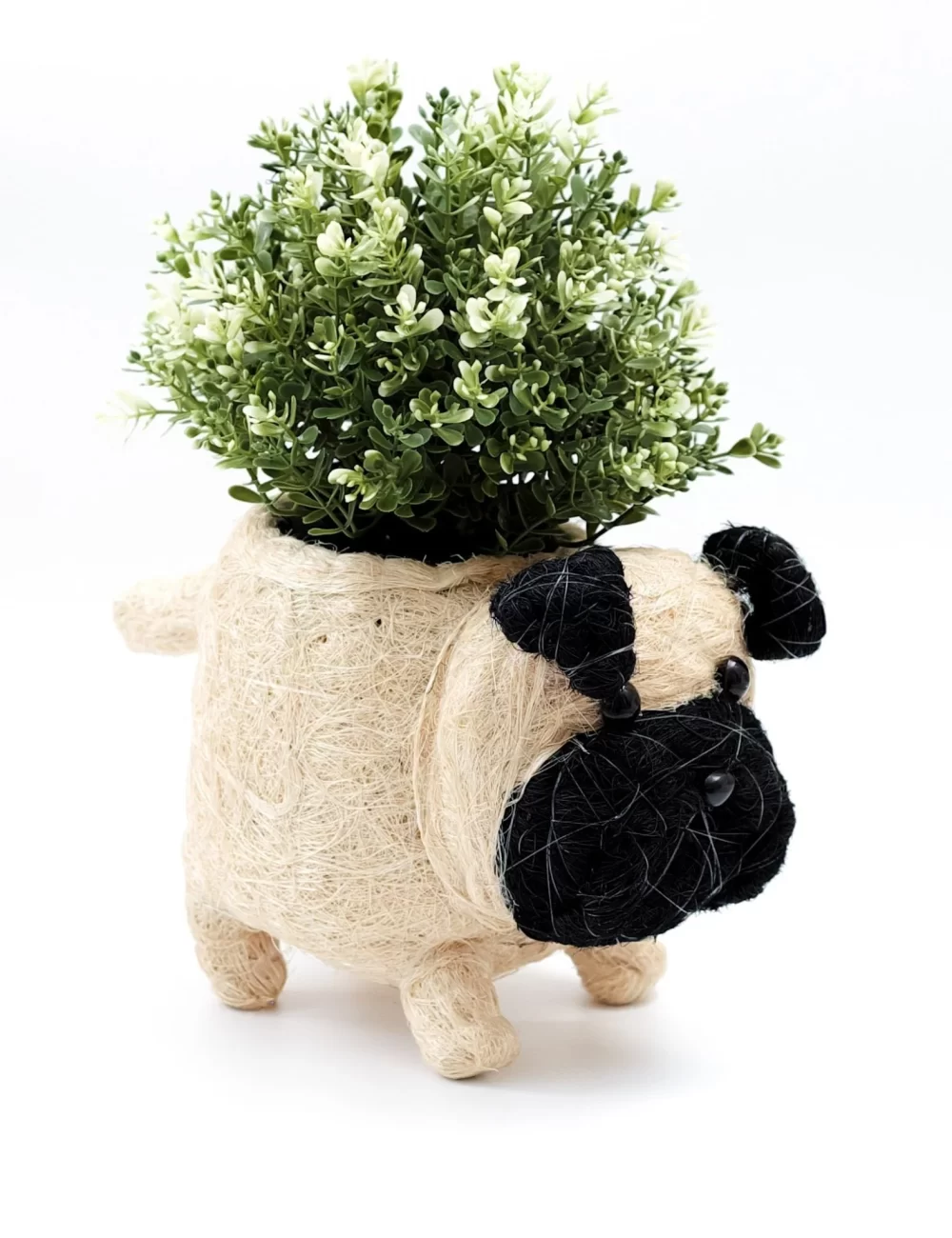 Pug Planter - Coco Coir Pots  LIKHÂ