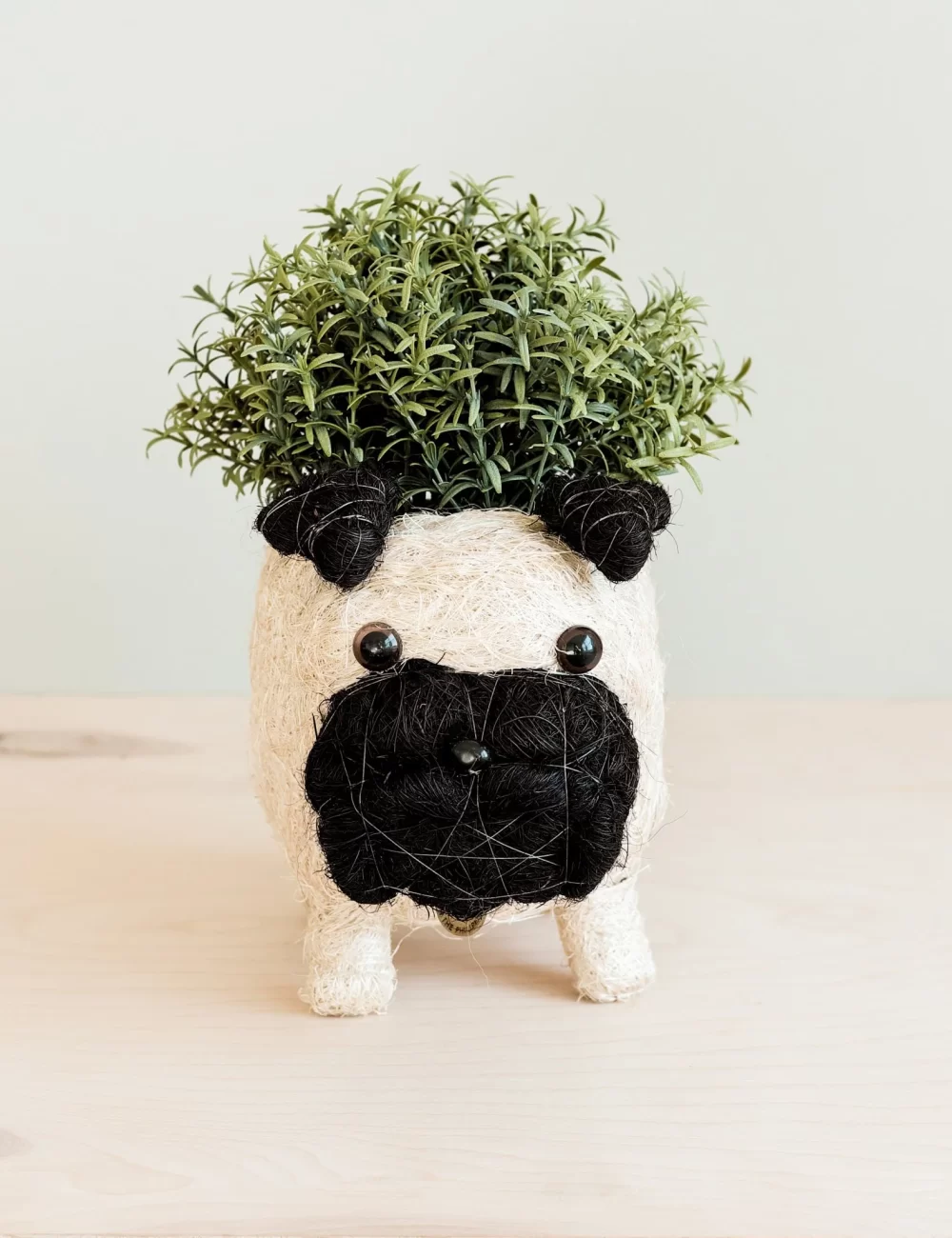 Pug Planter - Coco Coir Pots  LIKHÂ - Image 2