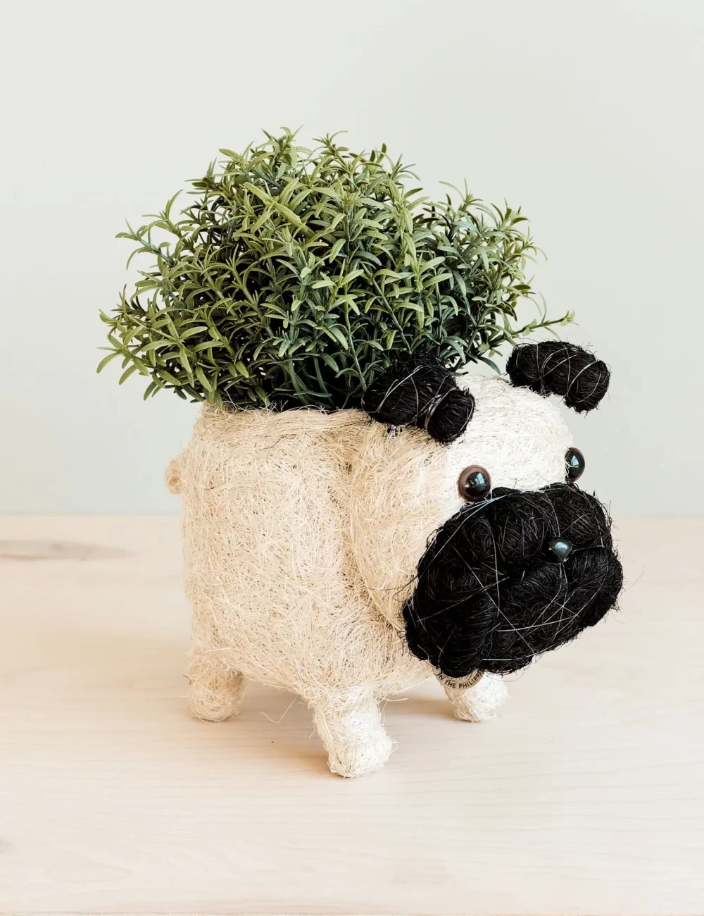 Pug Planter - Coco Coir Pots  LIKHÂ - Image 3